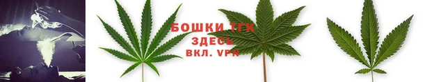 spice Белокуриха