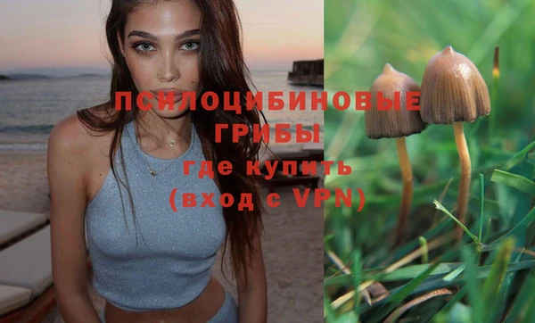 мескалин Беломорск